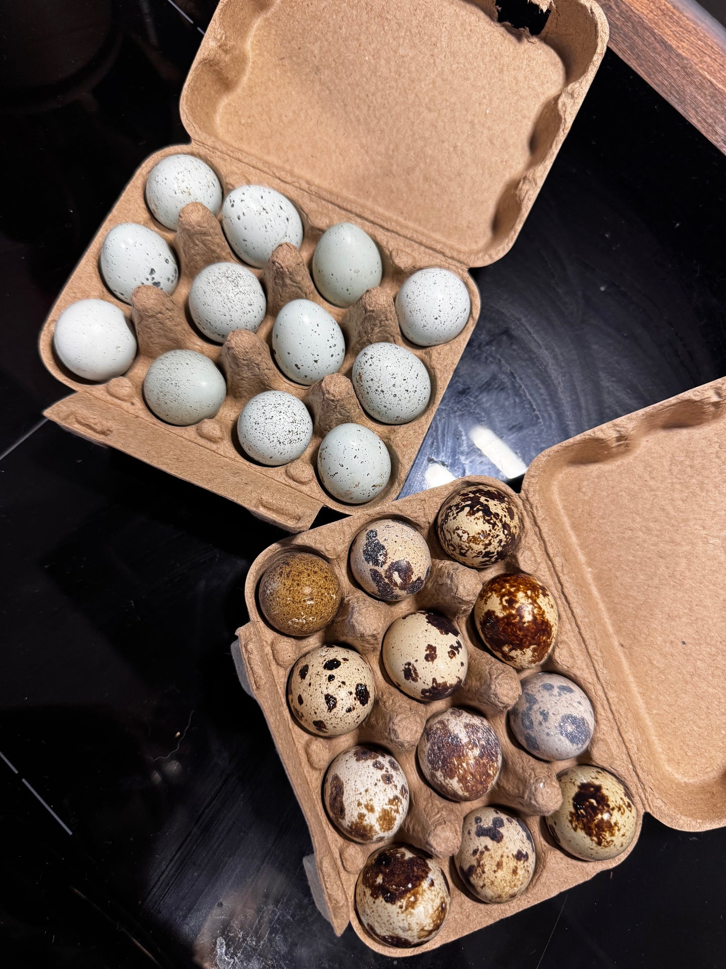 Premium Blue Quail Eggs