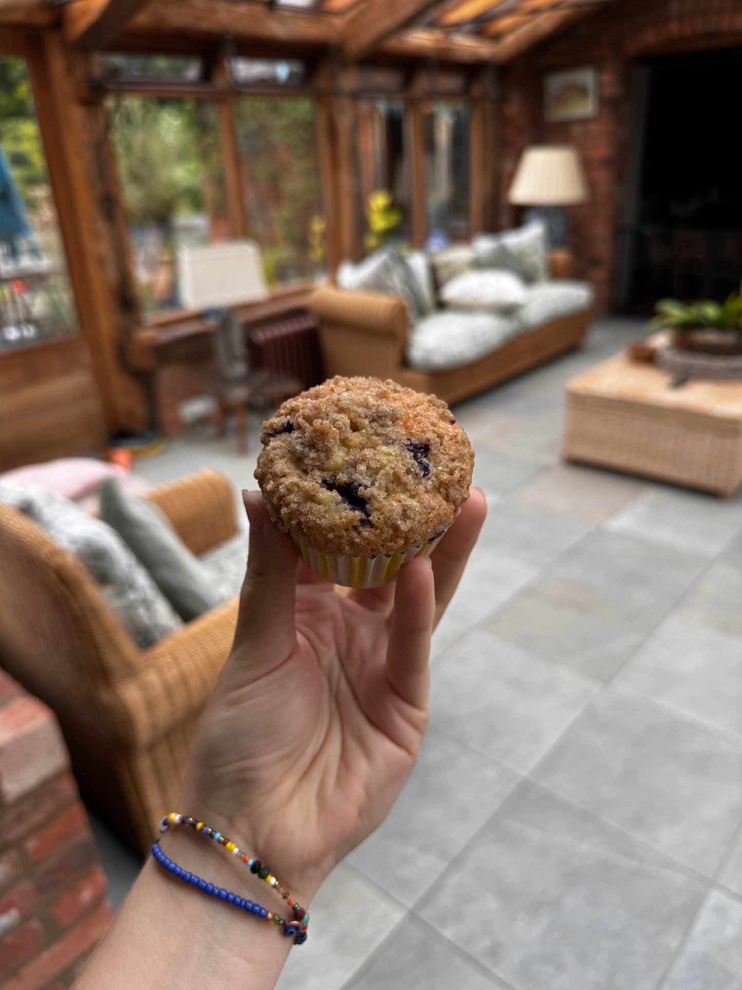 Blueberry Crumble Muffin - 12