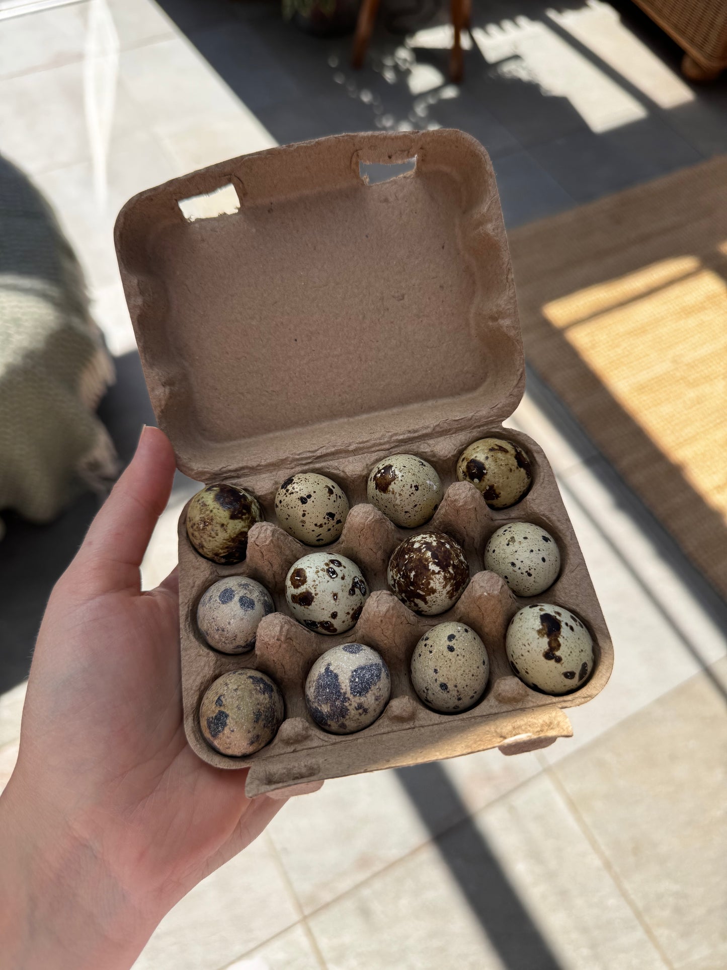 Dozen Quail eggs