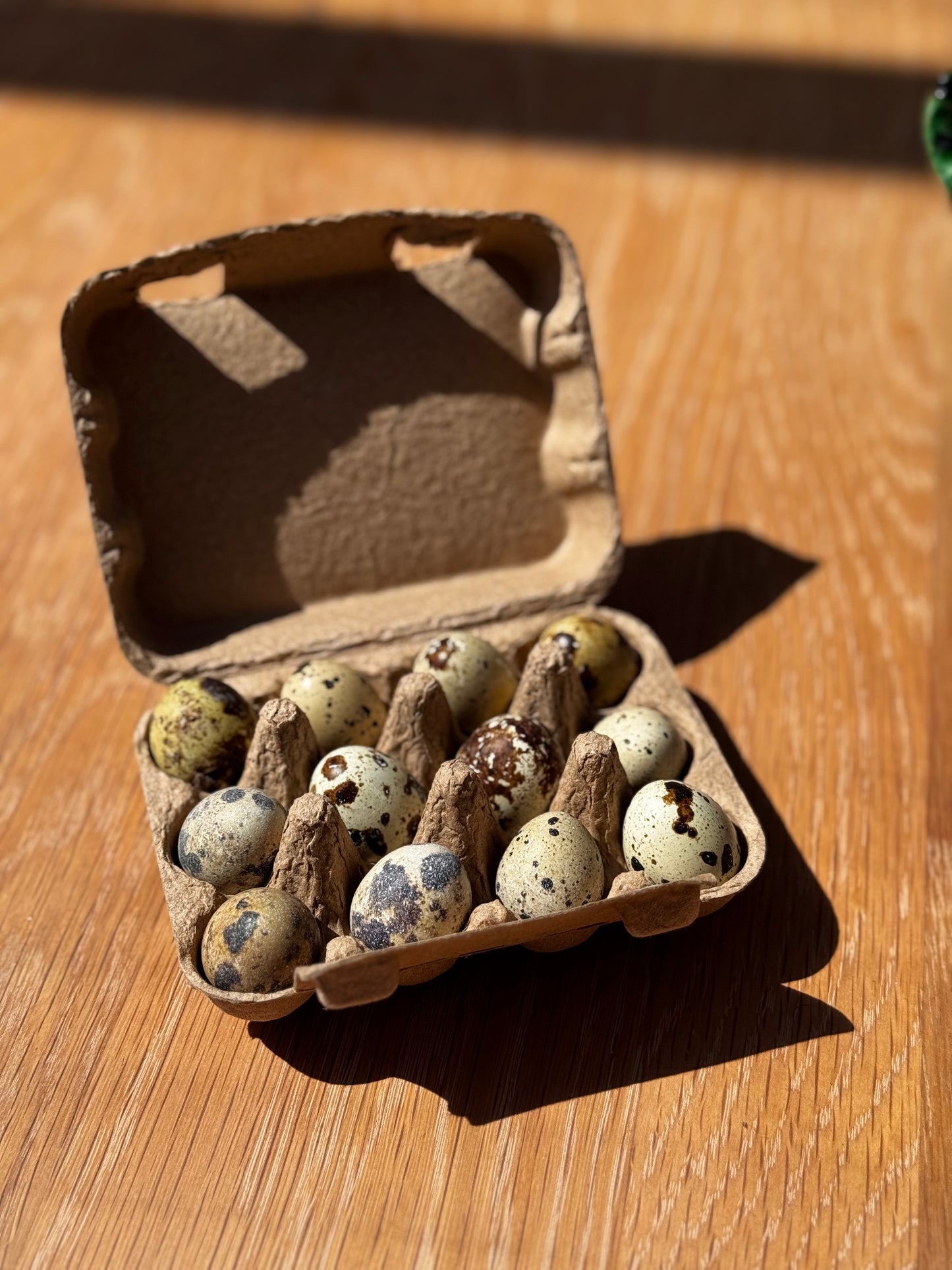 Dozen Quail eggs