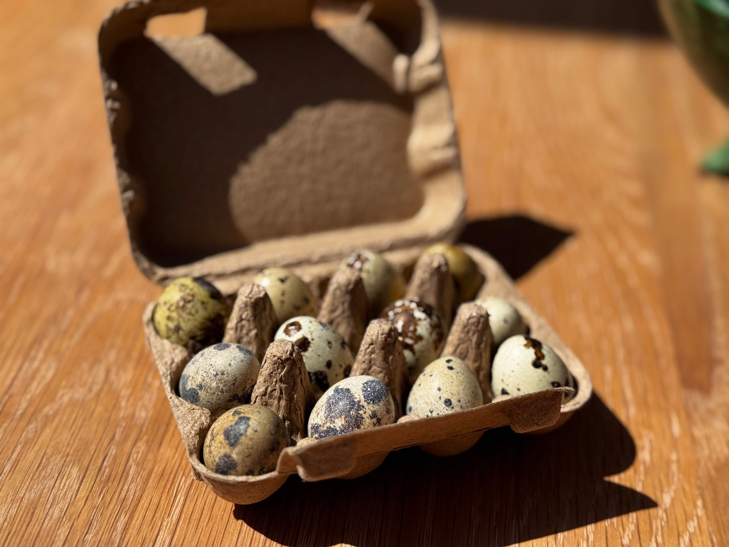 Dozen Quail eggs
